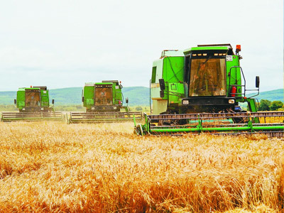 玉米播種機：玉米播種機技術特性及使用，播種機