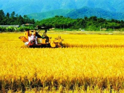 播種機：鑫飛達農機裝備淺談如何正确使用播種機，播種機廠家